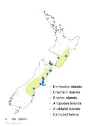 Veronica catenata distribution map based on databased records at AK, CHR & WELT.
 Image: K. Boardman © Landcare Research 2022 CC-BY 4.0